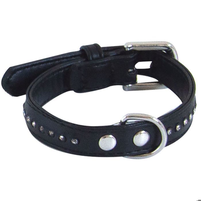 Comparer les prix de Collier chien Glamorous Noir 1 Rang Taille : T2 - DOOGY GLAM