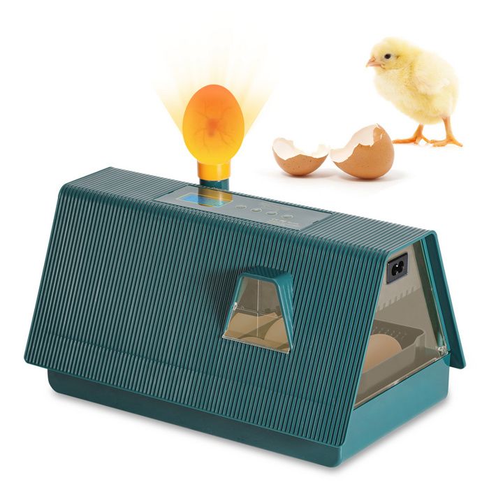 Cecaylie Couveuse Oeuf Automatique 10 Oeufs Incubateur Couveuse Kit complet pour COUVEUSE - INCUBATEUR