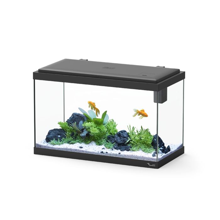 Aquarium Poisson – Aquatlantis Aquarium Vienna équipé – 34 L