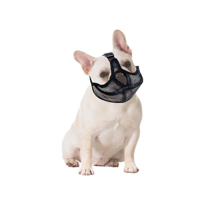 Muselière pour Chiens à Museau Court Maille Muselière Bouledogue Français Chien Respirant Masque Muselière Plate Anti Morsure