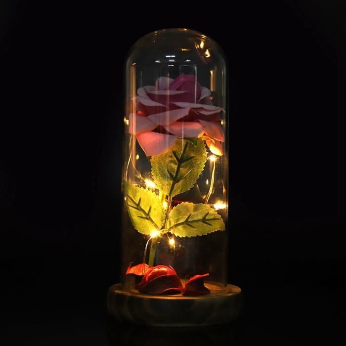 La Belle Et La Bete Rose Eternelle Enchanted Rose Led Rose Soie Cadeaux Pour Saint Valentin Fete Anniversaire Rose Sec Cdiscount Maison