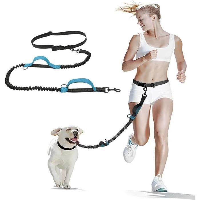 Laisse ventrale pour best sale chien