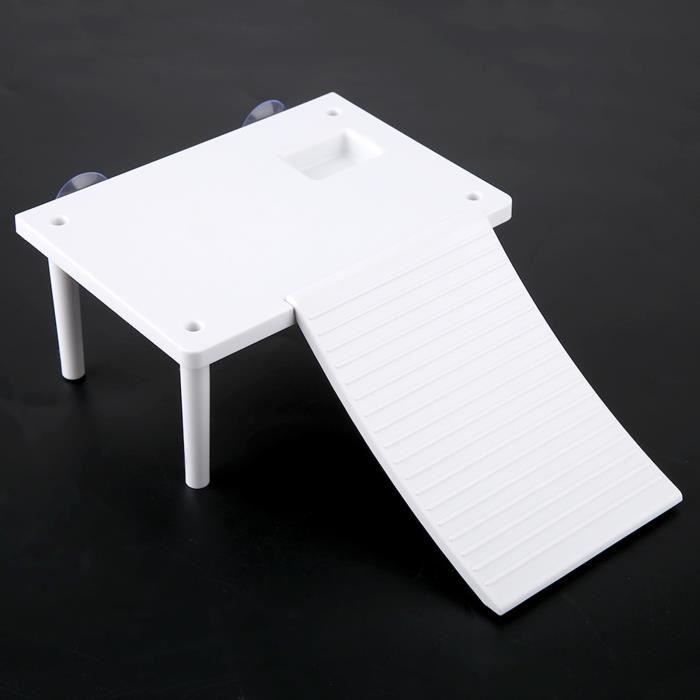 Plateforme De Baignade Pour Tortue Aquatique Zone Repos