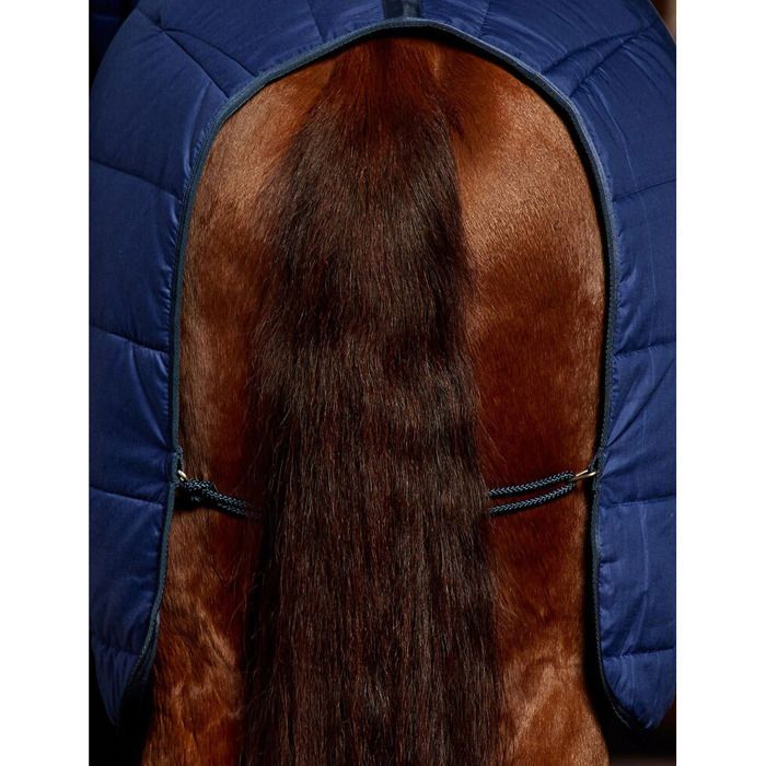 Support Mural Pour Tapis De Selle Cheval - 3 Branches Pivotantes, Acier, 76x38cm, Noir