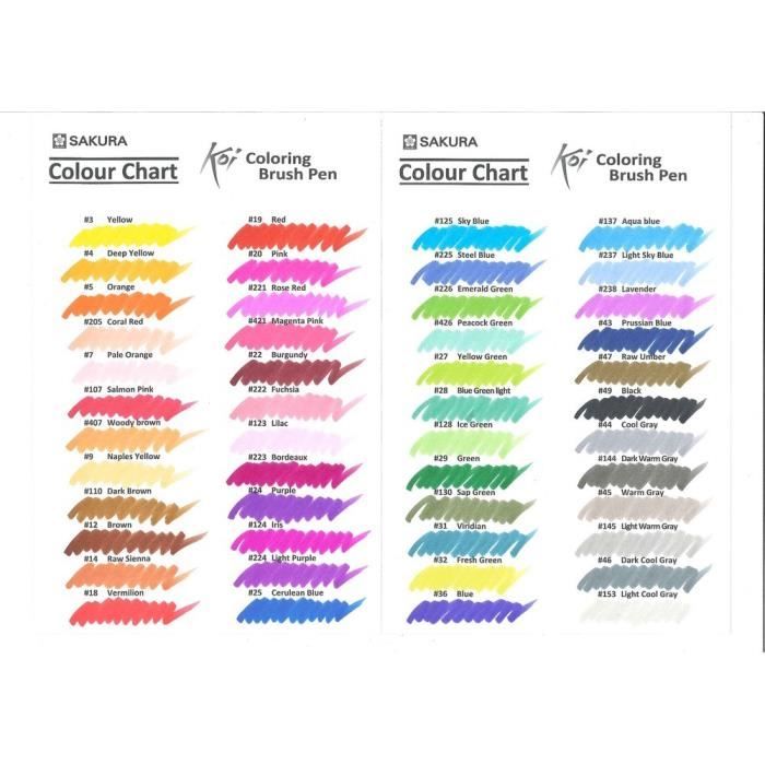 Lot de 48 stylos pinceaux koi coloring brush pen - Sakura - Commandez