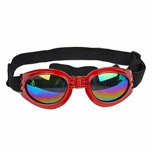 Lunette de Soleil Rouge Pliable pour Chien Protection UV