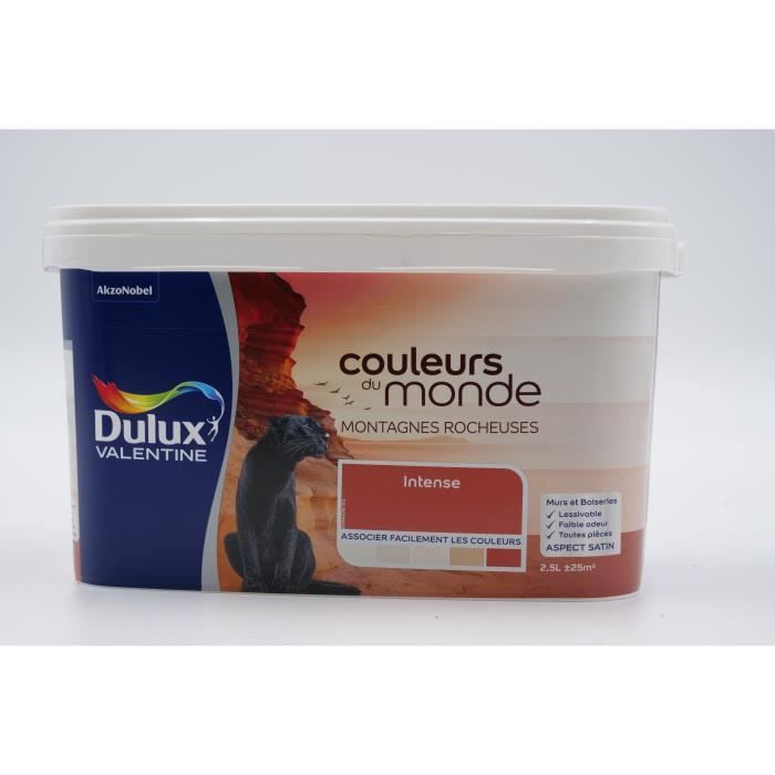 PeintureDuluxMontagnesRocheusesINTENSE2,5l