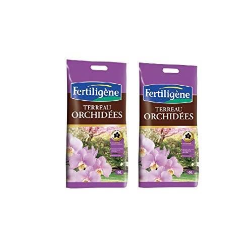 FERTILIGENE Terreau orchidées lot 2 Sacs de 6l FORC6
