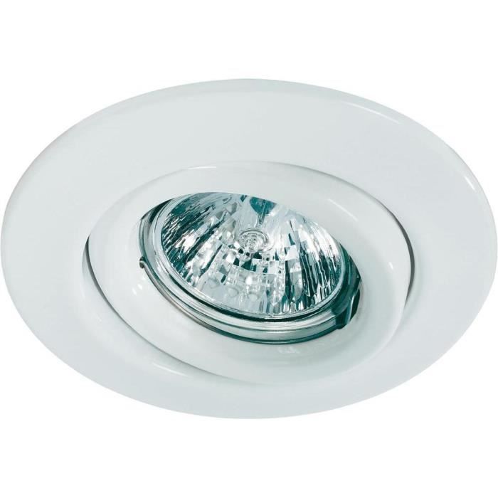 Paulmann 98971 encastré Quality Line 51 mm blanc, orientable