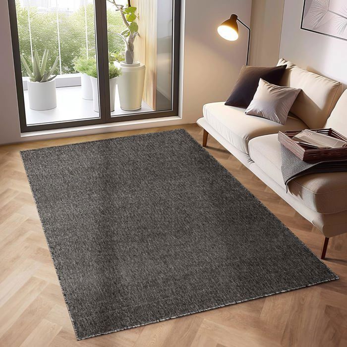 Tapis Poils Ras