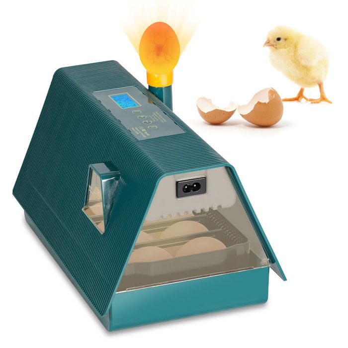 Cecaylie Couveuse Automatique Incubateur Couveuse pour 10 Oeufs COUVEUSE - INCUBATEUR