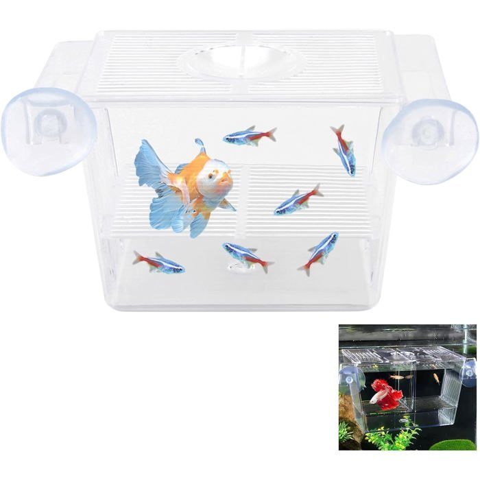 Meilleurs prix pour Mini aquarium incubateur avec ventouses pour élevage alevins Guppy Betta