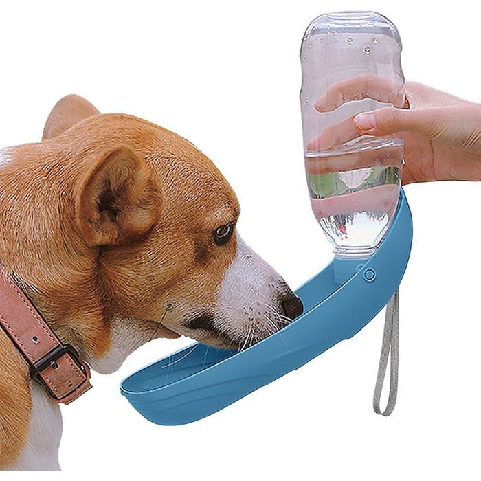 Bouteille d& 39 eau pour Chien 550ml Portable Distributeur Eau Gourde pour Chien de Compagnie en Plein Air pour Bleu b ABREUVOIR