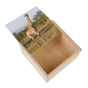 Boîte cadeau Boite Coffret en Bois - Photo de Girafe Nature Savane Faune Sauvage Animaux  (11 x 11 x 3,5 cm)
