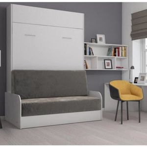 Lit Escamotable Avec Canape Achat Vente Pas Cher