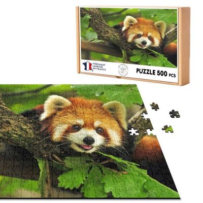 EUGY Manchot Empereur Penguin - Puzzle 3D N° 131 - Jouet Créatif en Carton Recyclé - pour Enfants dès 6 Ans et Adultes Jusqu’à 99 Ans - Puzzle