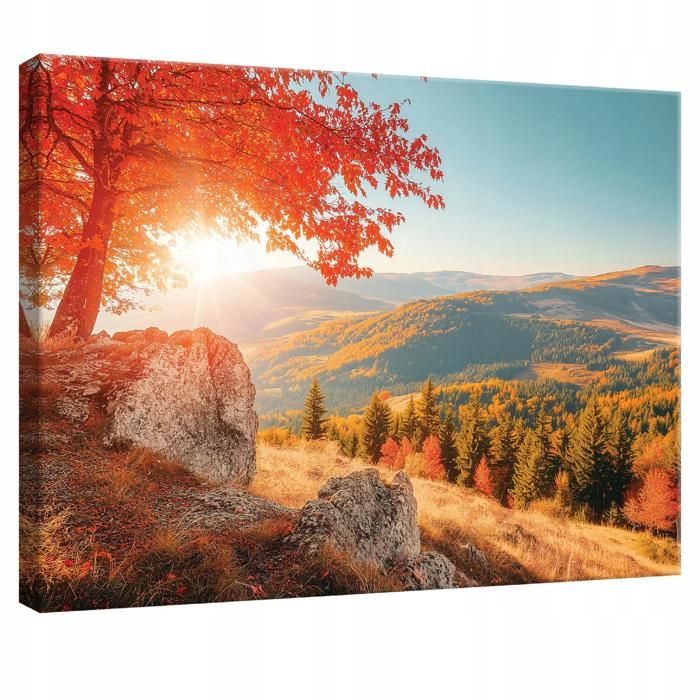 Impression sur verre Image tableaux 125x50 Nature Prairie Arbre Sentier