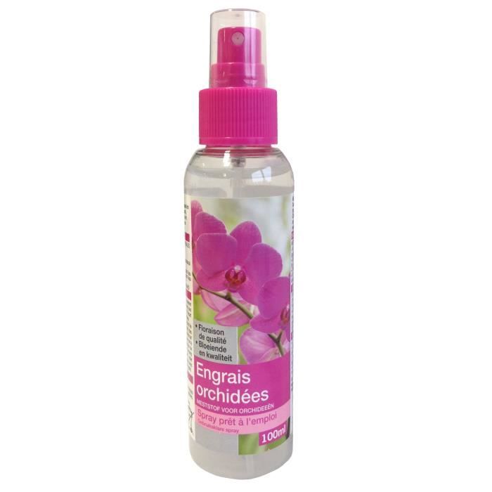 Spray Vital Orchidées Westland 250ml - Soin Feuilles Revitalisant - Prolonge La Floraison