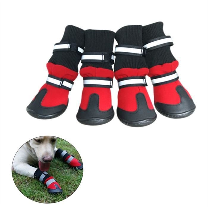Protection pluie pour chien