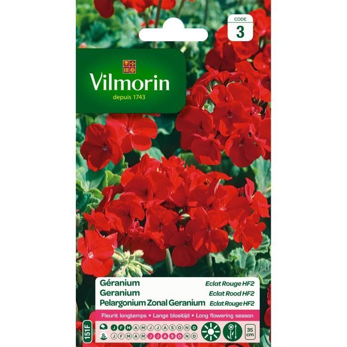 Graine de Géranium VILMORIN - HF2 éclat rouge - Variété très florifère
