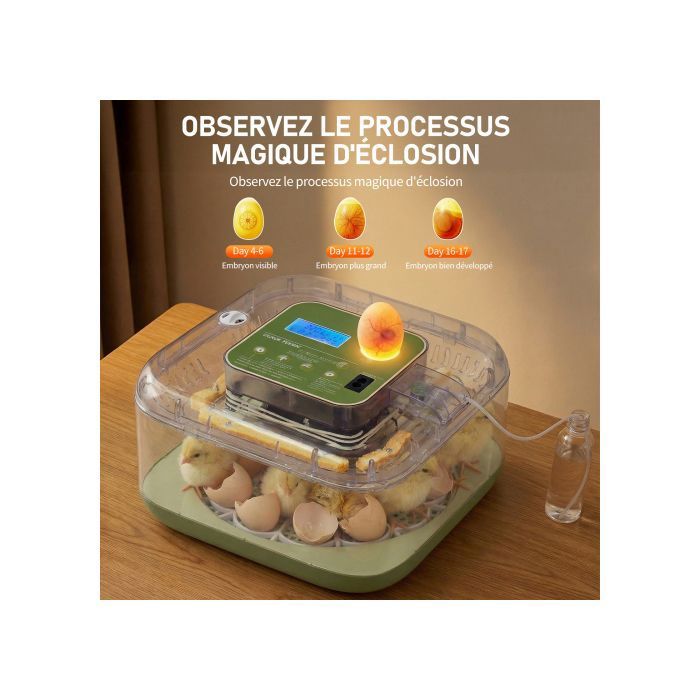 Couveuse Oeufs Automatique 12 Oeufs - Rotation Auto, Contrôle Température Humidité - Incubateur Poules Canards Cailles