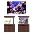 affiche de corail Affiche adhésive de corail Seaworld d'effet 3D pour la décoration de réservoir de poissons d'aquarium 61 x 41-3
