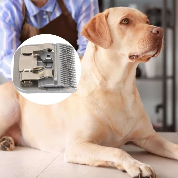 Peigne Limite 8 Pièces/ensemble Pour Machine De Coupe De Cheveux Wahl, Protection Pour Tondeuse, Salon De Coiffure, Guide De Coupe Professionnel, Peignes, Boucle De Suspension Y0415