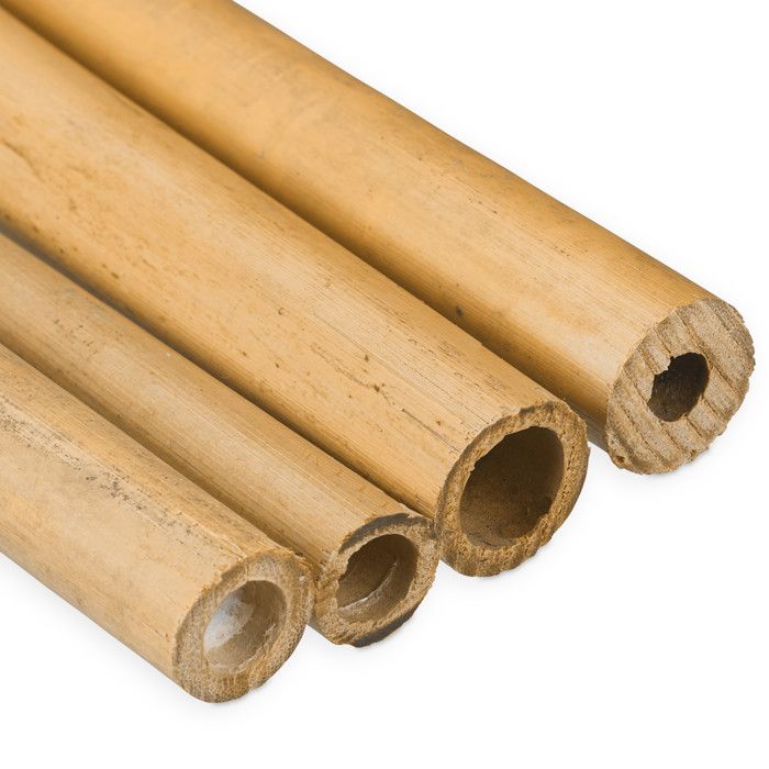 Lot De 25 Tuteurs En Bambou 150 Cm - Diamètre 10-12 Mm, Supports Naturels Pour Plantes, Légumes Et Arbres