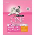 Croquettes pour chats 1-12 mois - 450 g Purina One-0