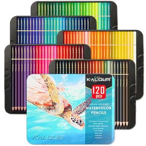 KIT DE DESSIN KIT DE DESSIN 120 Crayons Aquarelle, Numérotés, Crayon de Couleurs Solubles dans l'eau pour Adultes, Enfants et livre de Coloriage