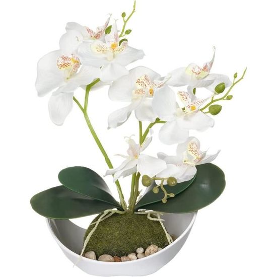 Composition florale moderne d'orchidée blanche