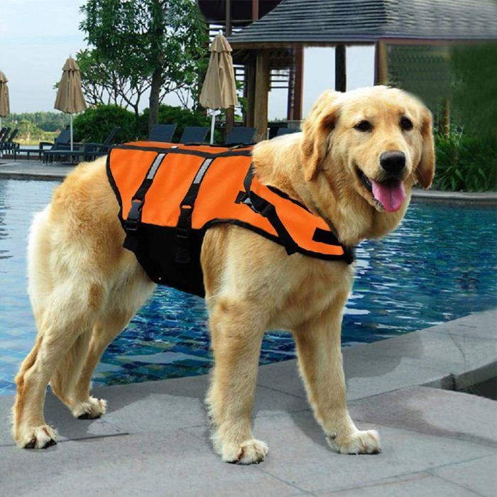 Gilet de sauvetage pour chiens - Taille S - Coton perlé indéchirable - Maille respirante - Orange réfléchissant