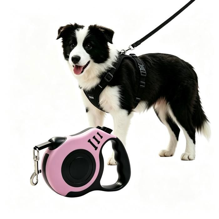 Laisse rétractable pour chien 5 m en nylon robuste poignée confortable pour promenade Laisse rétractable pour chien 5 m en nylon robuste poignée confortable pour promenade