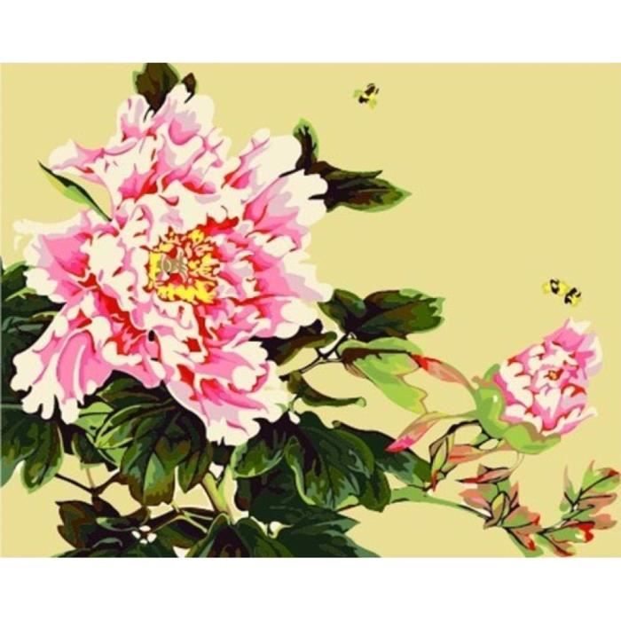 Peinture par numéro Perroquets pour adultes - Kit créatif numero d'art Peinture par numéro Perroquets pour adultes - Kit créatif numero d'art