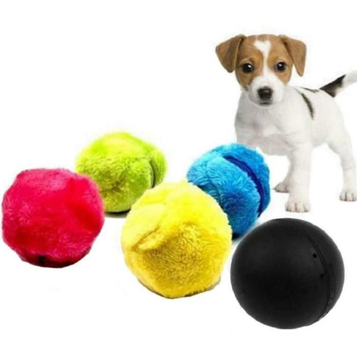 Magic ball dog best sale toy