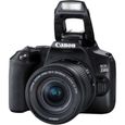 Appareil photo Reflex CANON 250D + Objectif 18-55 IS STM - Noir - 24.1 mégapixels - 4K - Bluetooth 4.1-1