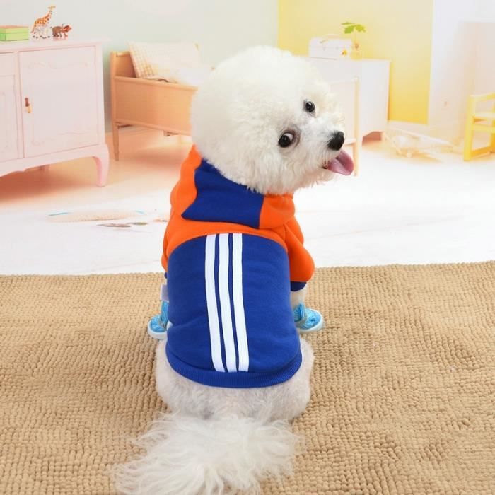 Habits clearance pour chihuahua