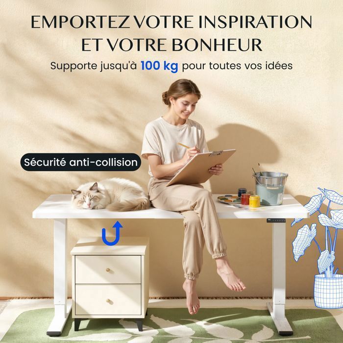 FLEXISPOT EC5W Bureau Assis Debout Électrique à 3 Colonnes 2 Moteurs