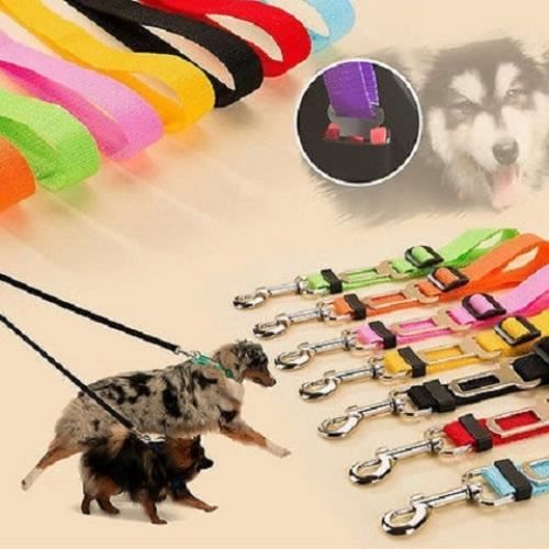Toozey Sangle de sécurité pour Chien avec système d'absorption des Chocs et Mousqueton Solide réglable pour Chien et Chat Toozey Sangle de sécurité pour Chien avec système d'absorption des Chocs et Mousqueton Solide réglable pour Chien et Chat