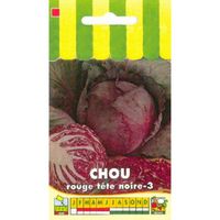Sachet de  Chou rouge tête noire-3 - 3 g - légume feuille - LES GRAINES BOCQUET