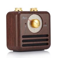 Mini Haut-Parleur Bluetooth Design Rétro et Radio-FM - R917-B - Brun