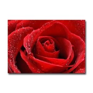 ZSYNB Lot de 5 tableaux sur toile Motif roses rouges