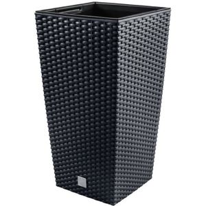 Prosper Plast dpmt300-s433 Lot de 12 Pots de Fleurs Fins Anthracite 3 x 55 cm 