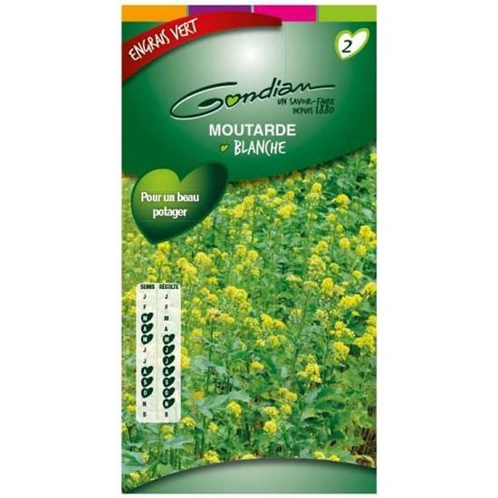 Moutarde blanche Engrais vert 100gr 100m² - Cdiscount Jardin
