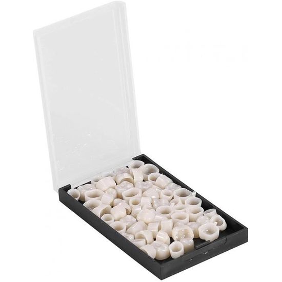 40 Coques Dentaires Lisses Pour Bijoux Ou Artisanat | Diamètre 1,75 Pouce (44mm)