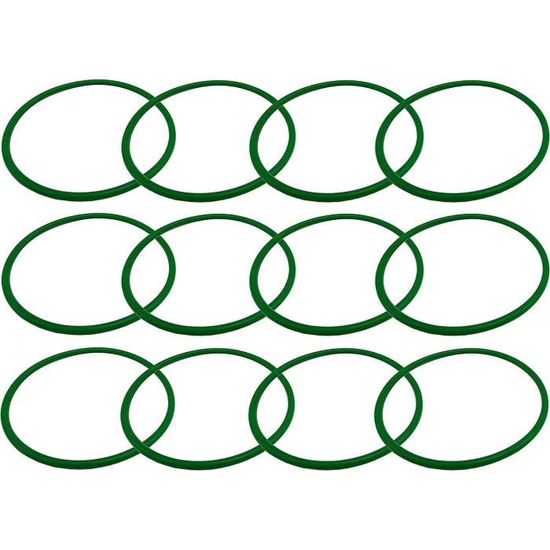 Joint Torique De Rechange Pour Chlorinateur De Piscine