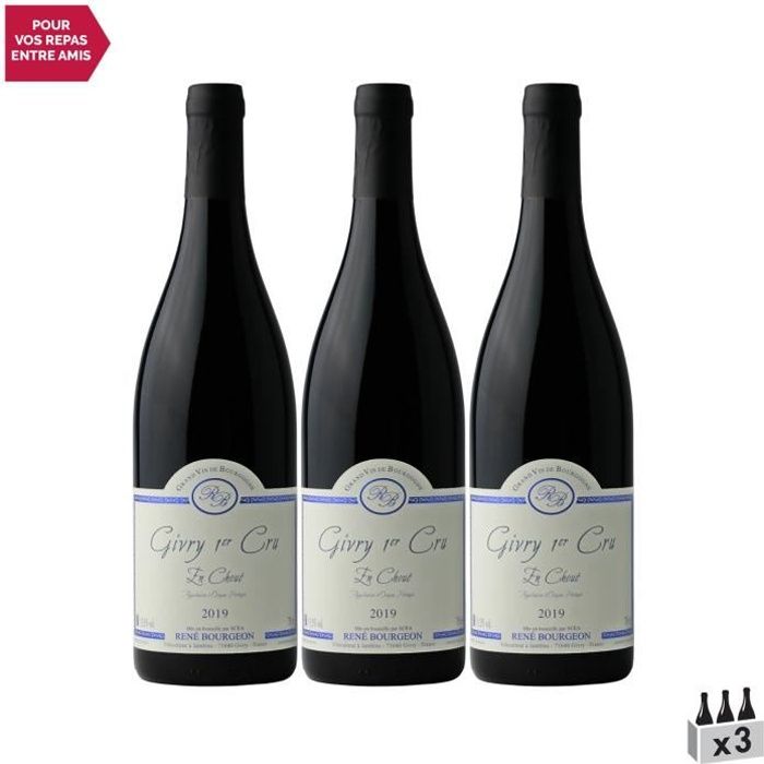 Givry 1er Cru En Choué Rouge 2019 - Lot de 3x75cl - Domaine René Bourgeon - Vin AOC Rouge de Bourgogne - Cépage Pinot Noir