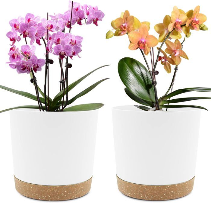 Set of 2 Plant Pots, Plant Pots with Drainage Holes and Removable Base ...