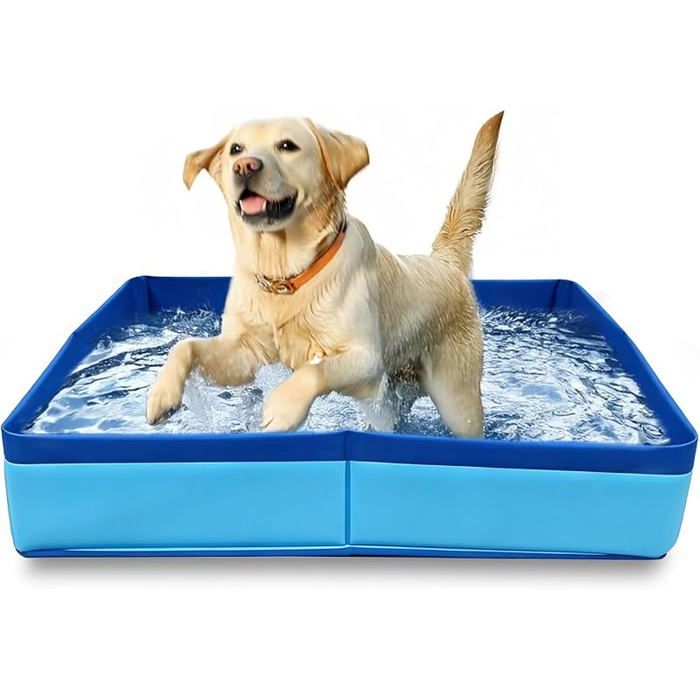 Piscine pliable pour chien - Résistante aux rayures - 50 x 50 x 10 cm - Piscine pour chien - Piscine pliable pour 50 x 50 cm Bleu