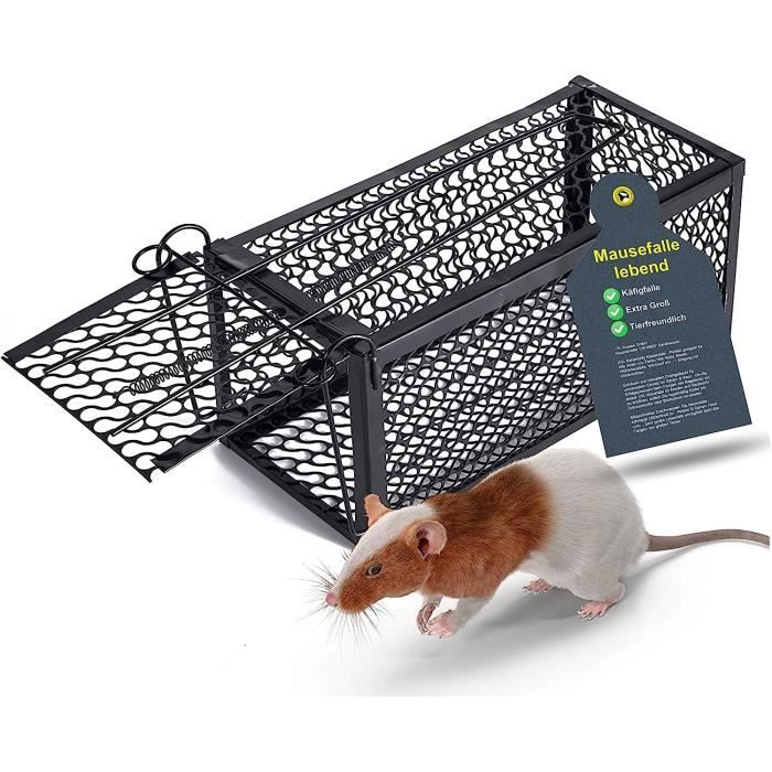 Mort Aux Rats Belle Vous Piège à Souris Vivant Lot De 2 - Capture Et Relâche Sans Cruauté - Réutilisable Intérieur/extérieur - Avec Gants Et Brosse Capture Libération Souris